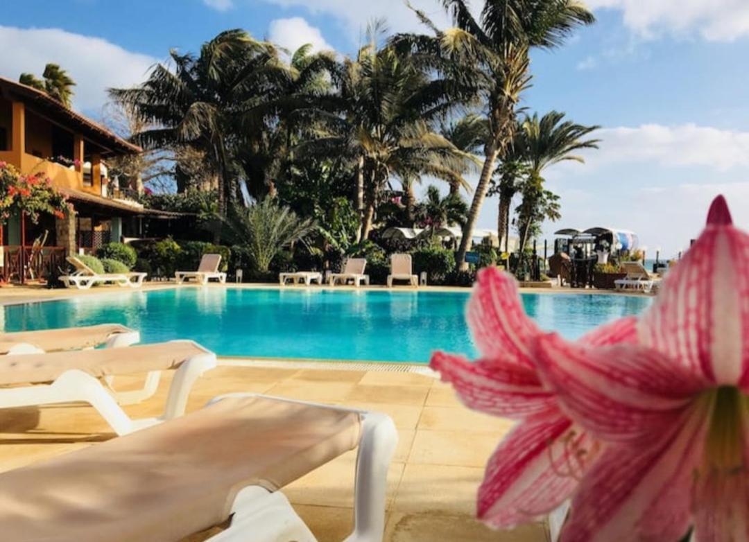 Beach Front Ocean View Porto Antigo2 ซังตามาเรีย ภายนอก รูปภาพ